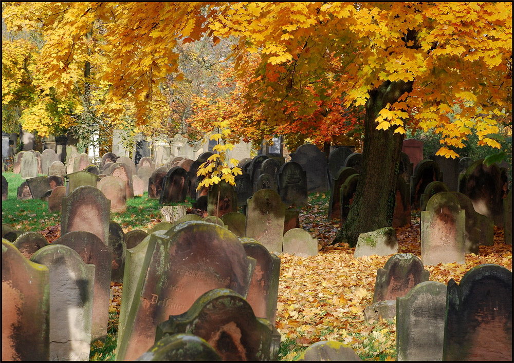 Jüdischer Friedhof in Worms