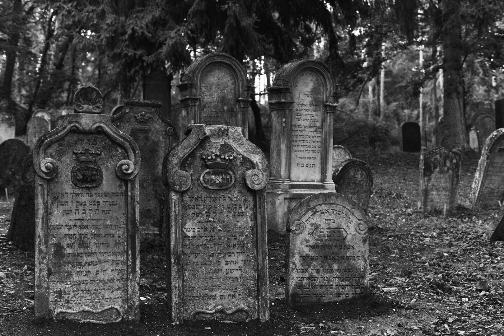 Jüdischer Friedhof Kobersdorf - minus 0,85 Grad