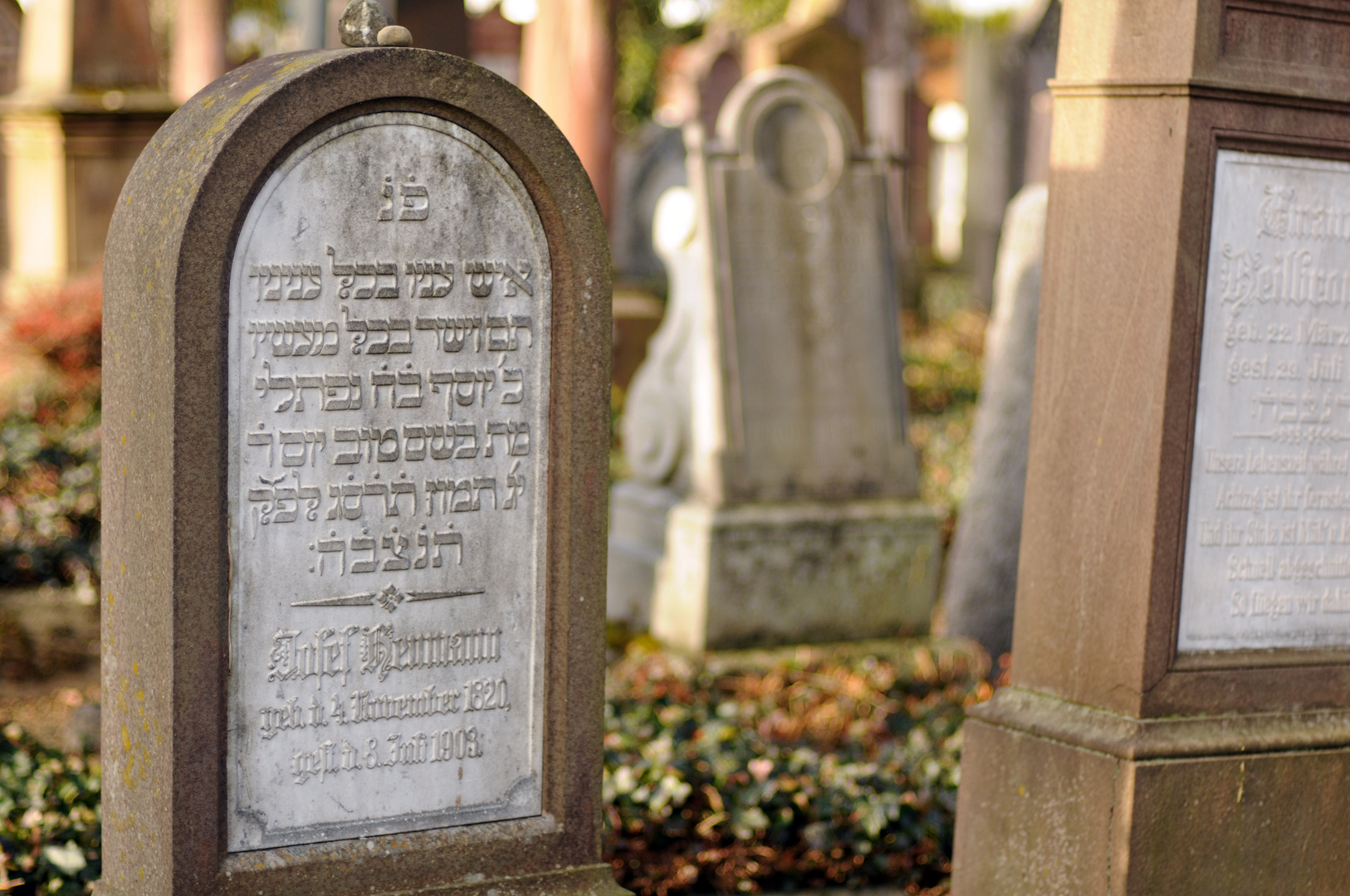 Jüdischer Friedhof Laupheim (3)