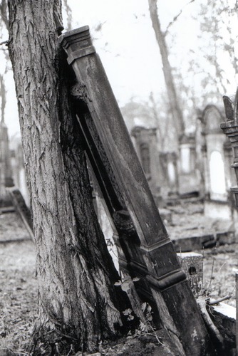 Jüdischer Friedhof Lodz 3