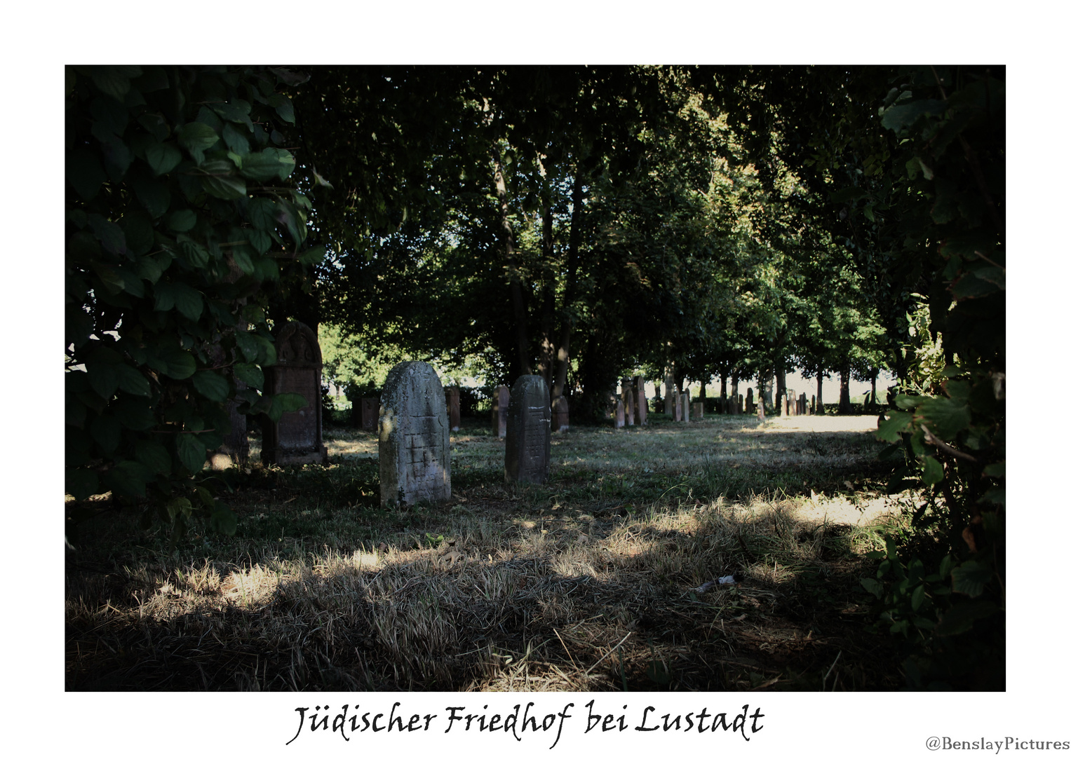 Jüdischer Friedhof Lustadt