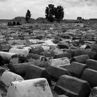 Jüdischer Friedhof Marrakesch