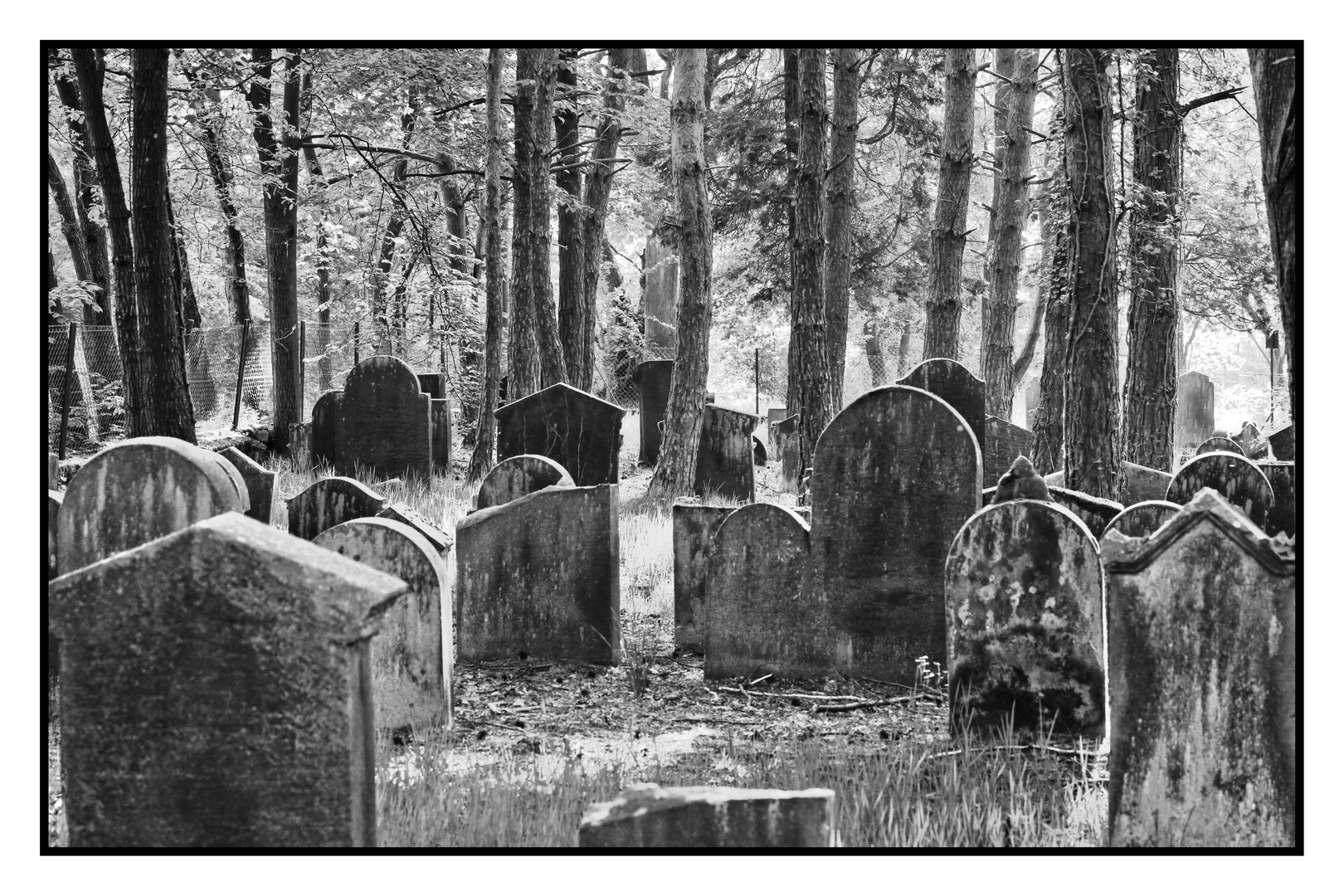 Jüdischer Friedhof Mehlingen