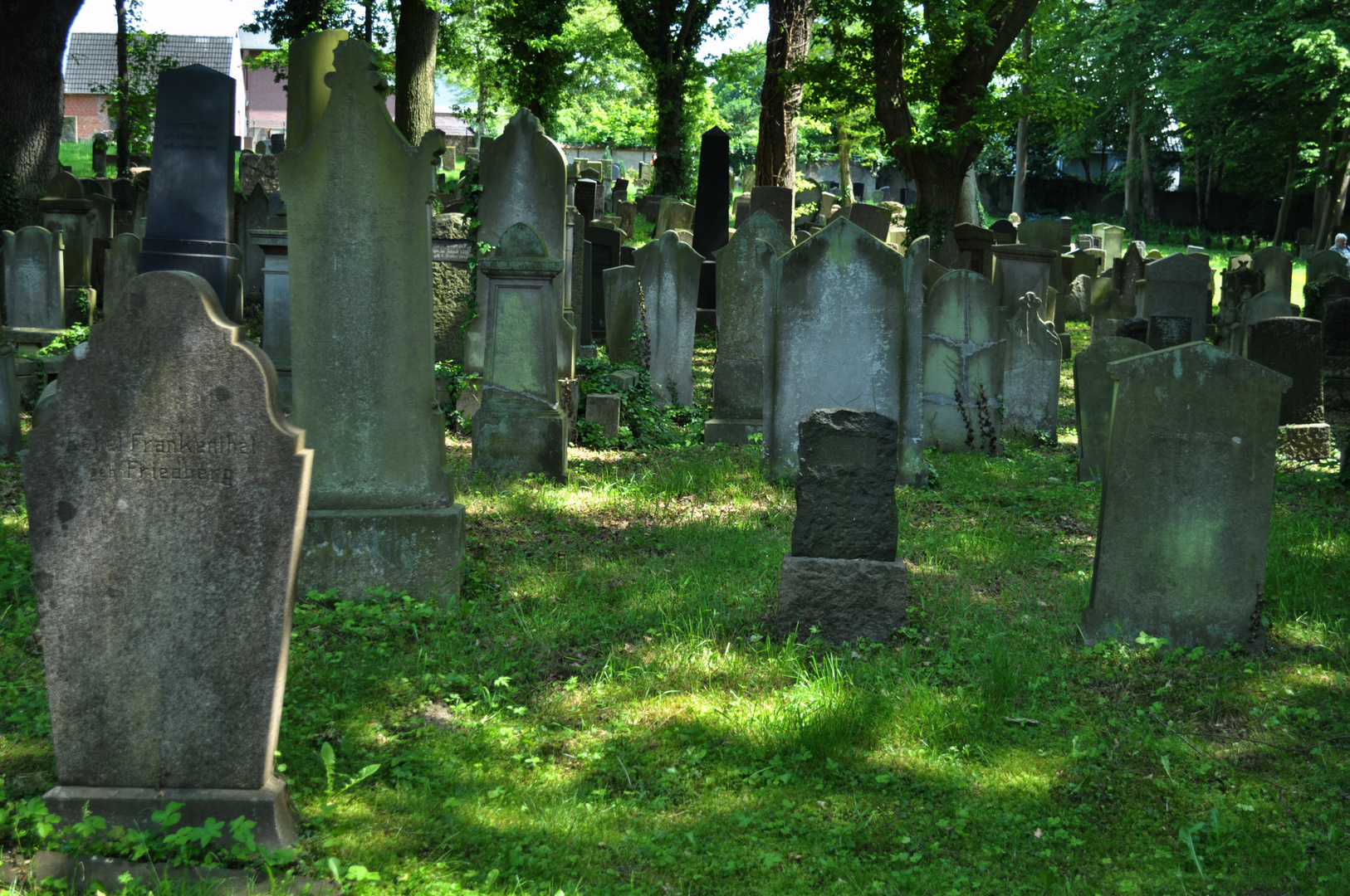 jüdischer Friedhof Moisling