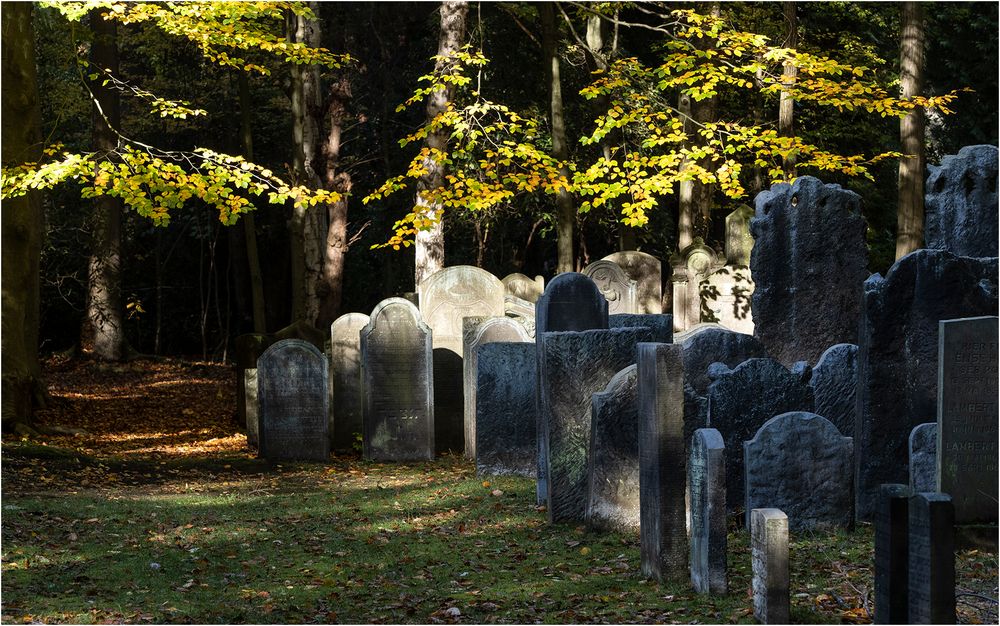 Jüdischer Friedhof Ohlsdorf (12)