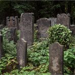 Jüdischer Friedhof Ohlsdorf (3)