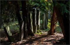 Jüdischer Friedhof Ohlsdorf (6)