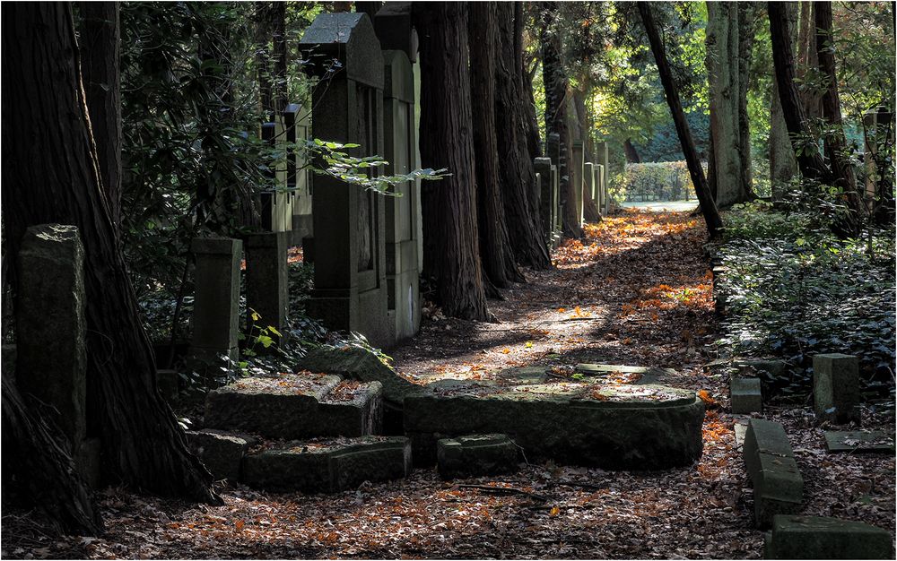 Jüdischer Friedhof Ohlsdorf (7)