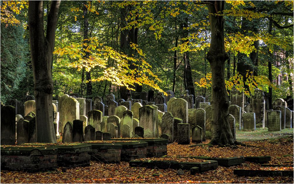 Jüdischer Friedhof Ohlsdorf (9)