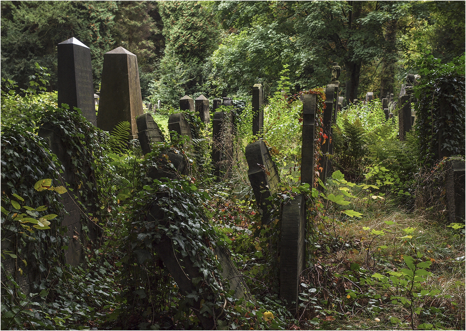 Jüdischer Friedhof Ohlsdorf 