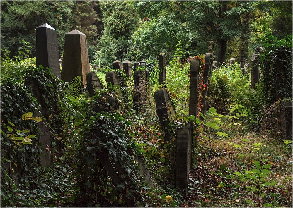 Jüdischer Friedhof Ohlsdorf 