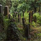 Jüdischer Friedhof Ohlsdorf 