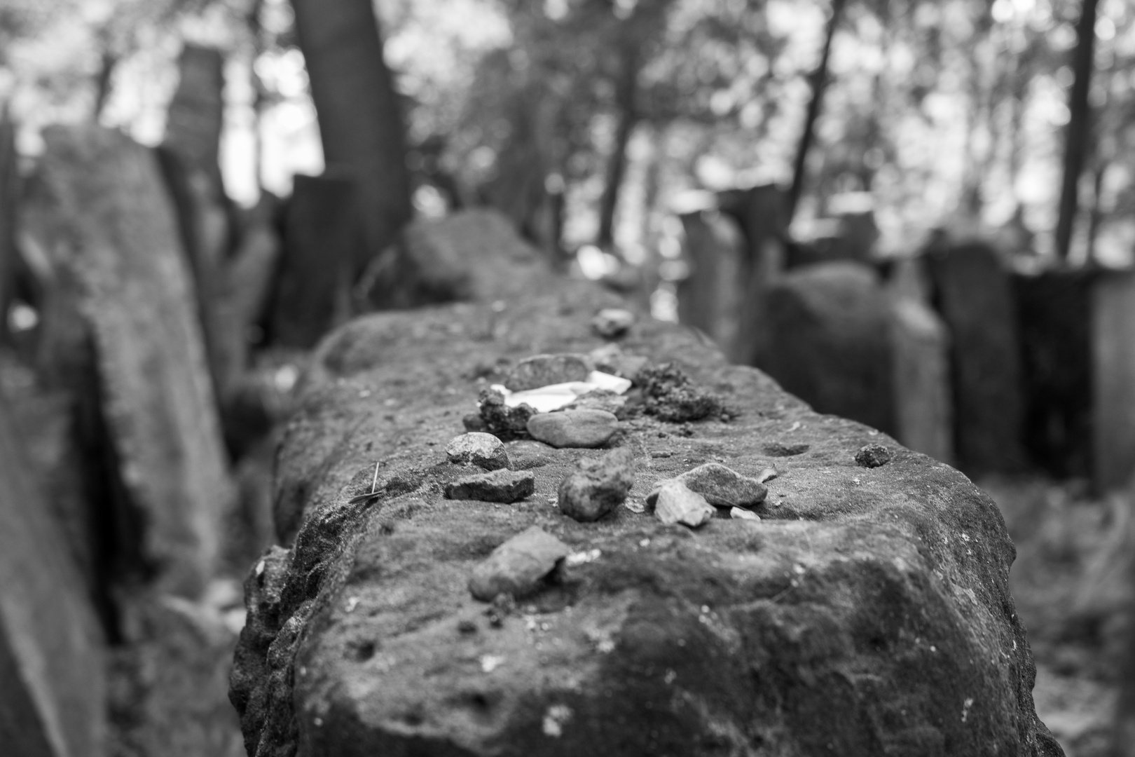 Jüdischer Friedhof Prag