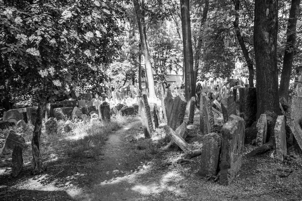 Jüdischer Friedhof Prag