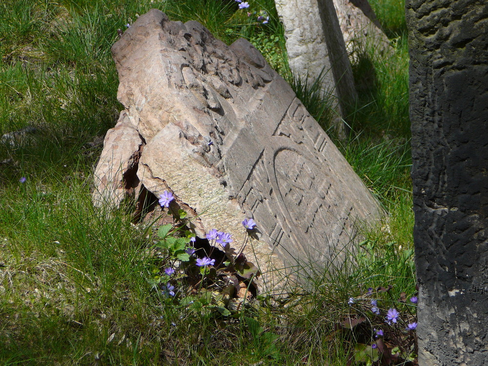 Jüdischer Friedhof/ Prag.....neues Leben.....