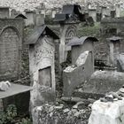 Jüdischer Friedhof Remu'h (bearbeitet)