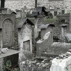 Jüdischer Friedhof Remu'h in Krakau