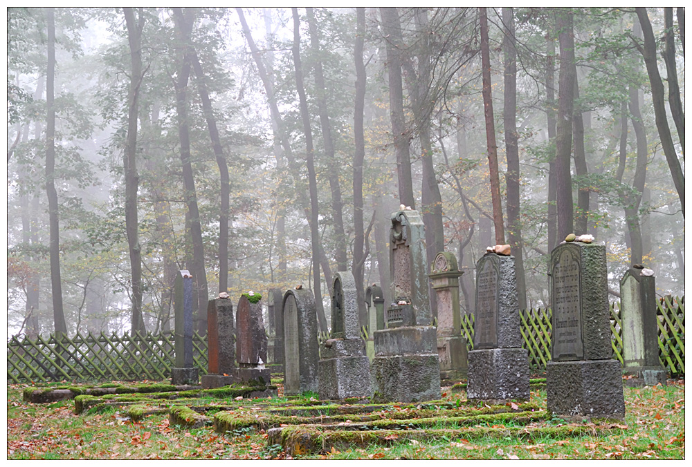 Jüdischer Friedhof, Rhens