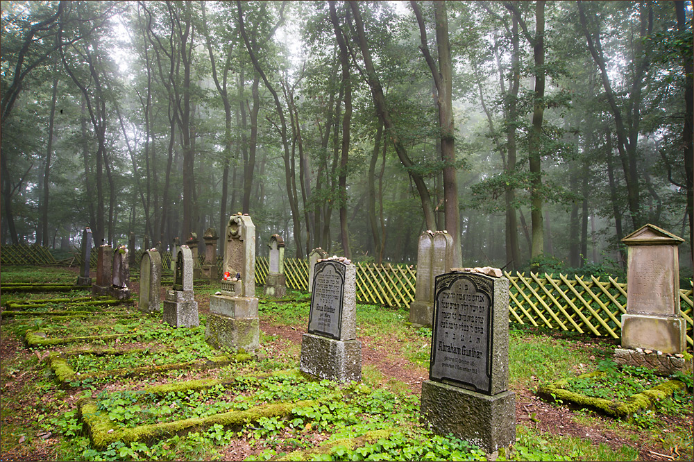 Jüdischer Friedhof Rhens