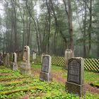 Jüdischer Friedhof Rhens