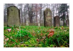 Juedischer Friedhof, Rhens _ 4