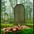 Jüdischer Friedhof, Rhens