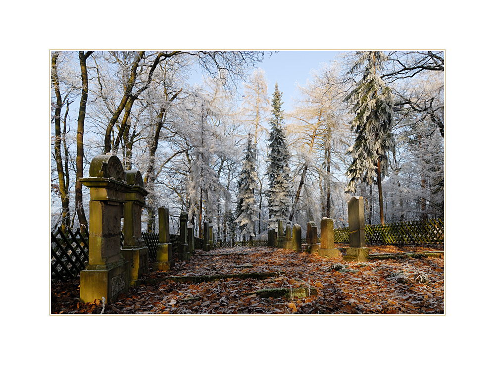 jüdischer Friedhof Rhens an einem Wintertag