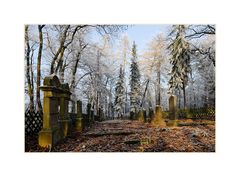 jüdischer Friedhof Rhens an einem Wintertag