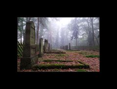 Juedischer Friedhof, Rhens