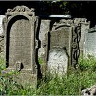 Jüdischer Friedhof Seegasse - 2