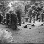 Jüdischer Friedhof "Segeroth"