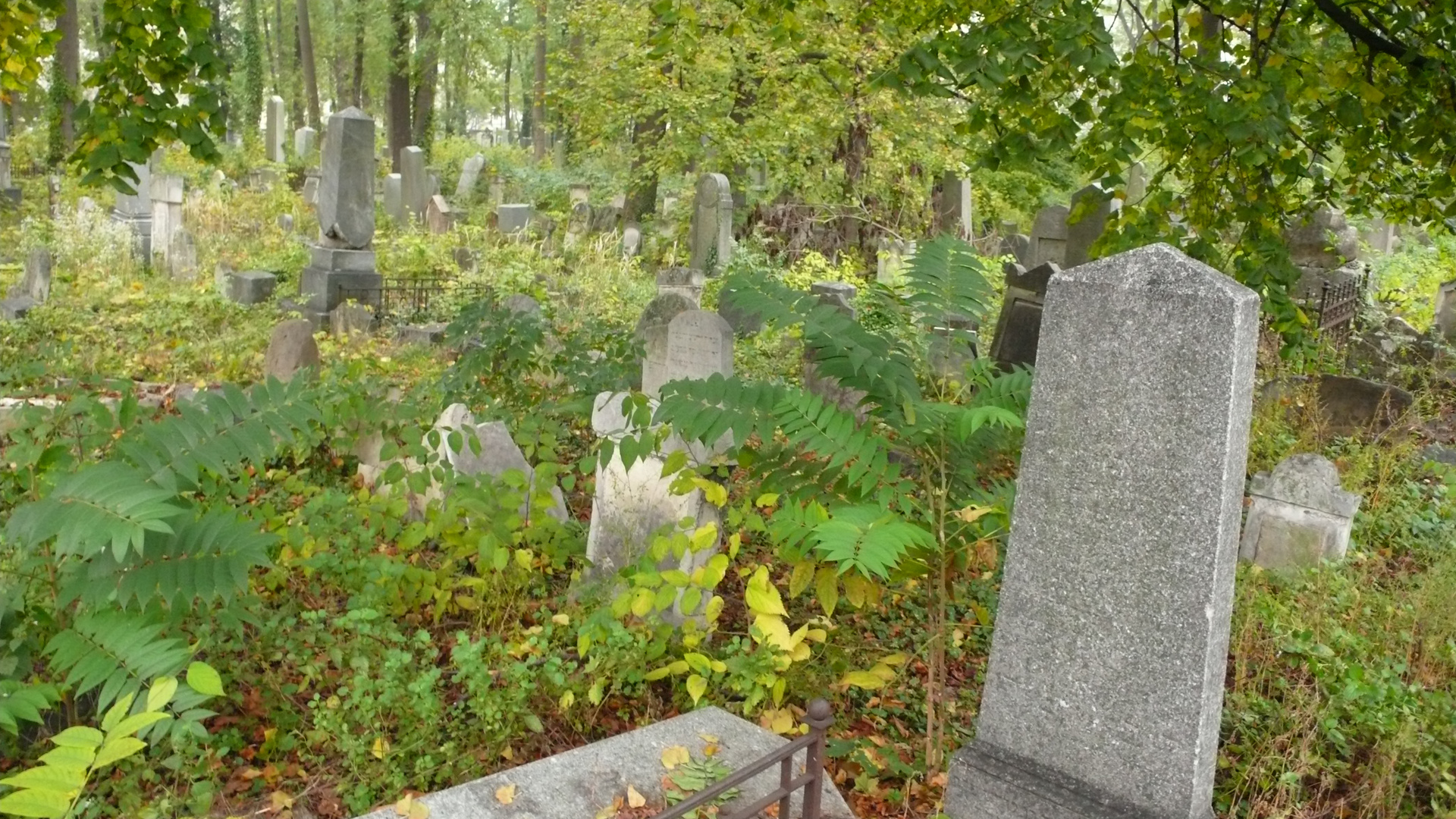 Jüdischer Friedhof Währing 4