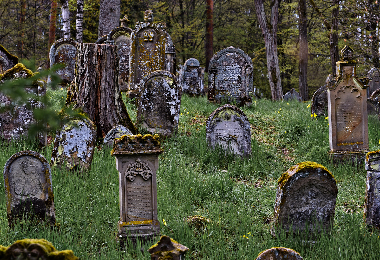 Jüdischer Friedhof Walsdorf 01