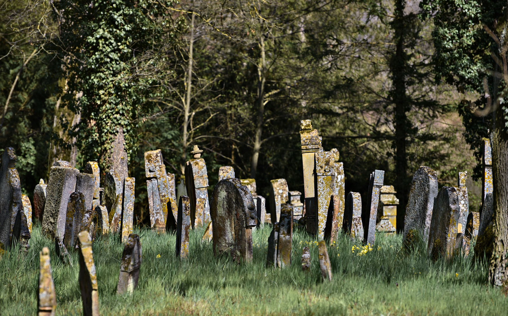 Jüdischer Friedhof Walsdorf 02