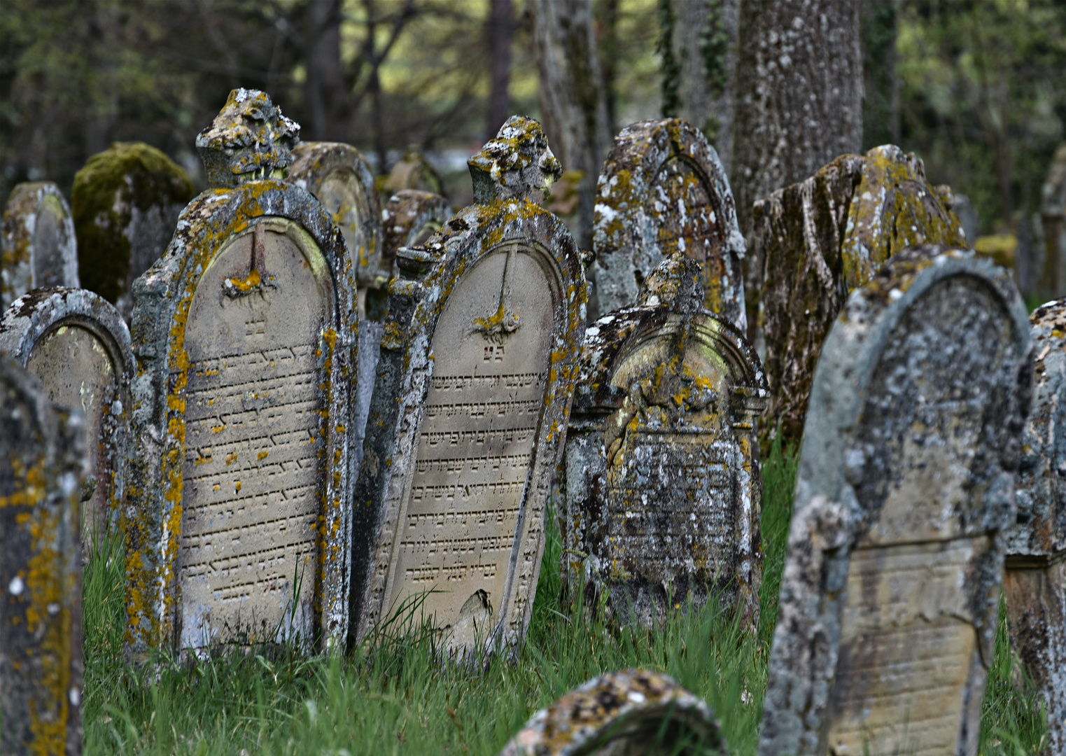 Jüdischer Friedhof Walsdorf 03