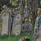 Jüdischer Friedhof Walsdorf 03