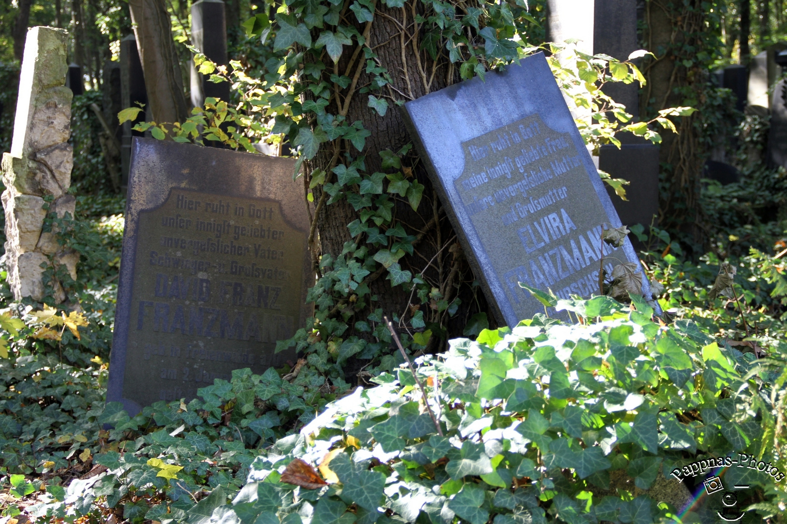 jüdischer Friedhof Weißensee /31