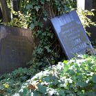 jüdischer Friedhof Weißensee /31