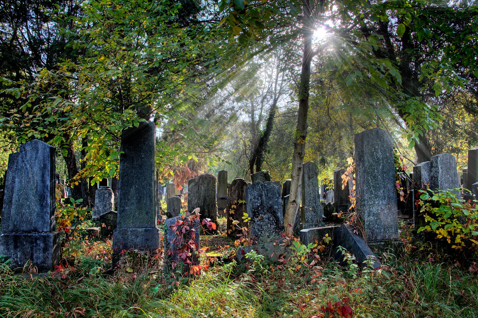 Jüdischer Friedhof (Wiener Zentralfriedhof)