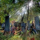 Jüdischer Friedhof (Wiener Zentralfriedhof)