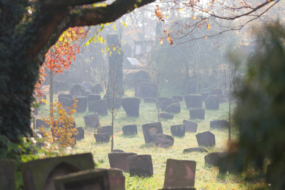 Jüdischer Friedhof Worms