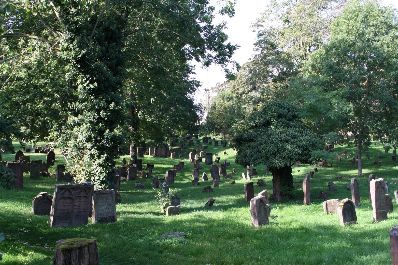 Jüdischer Friedhof Worms