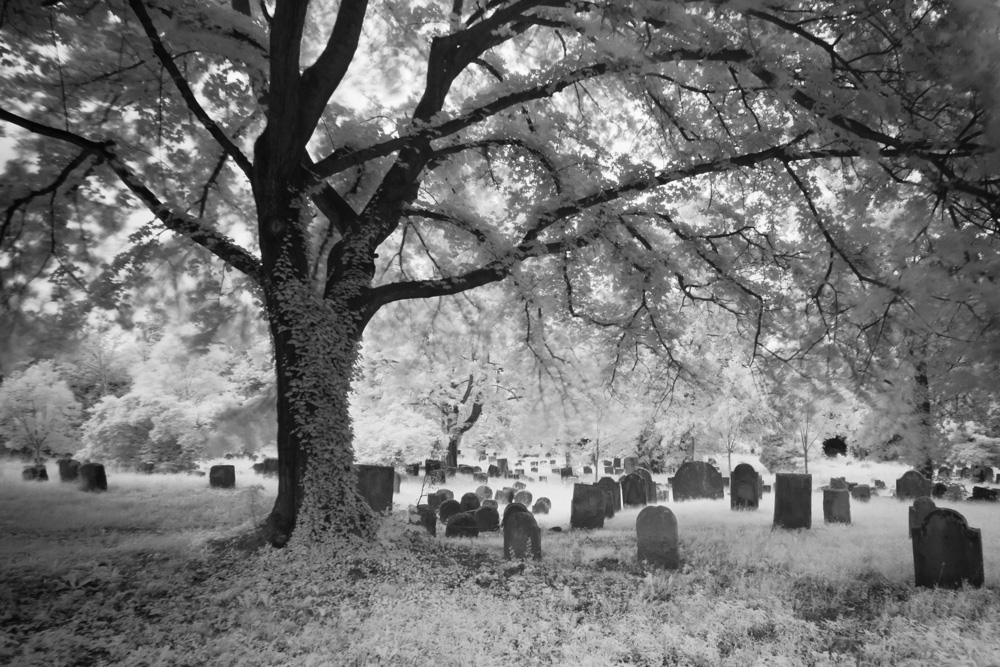 Jüdischer Friedhof Worms