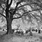 Jüdischer Friedhof Worms