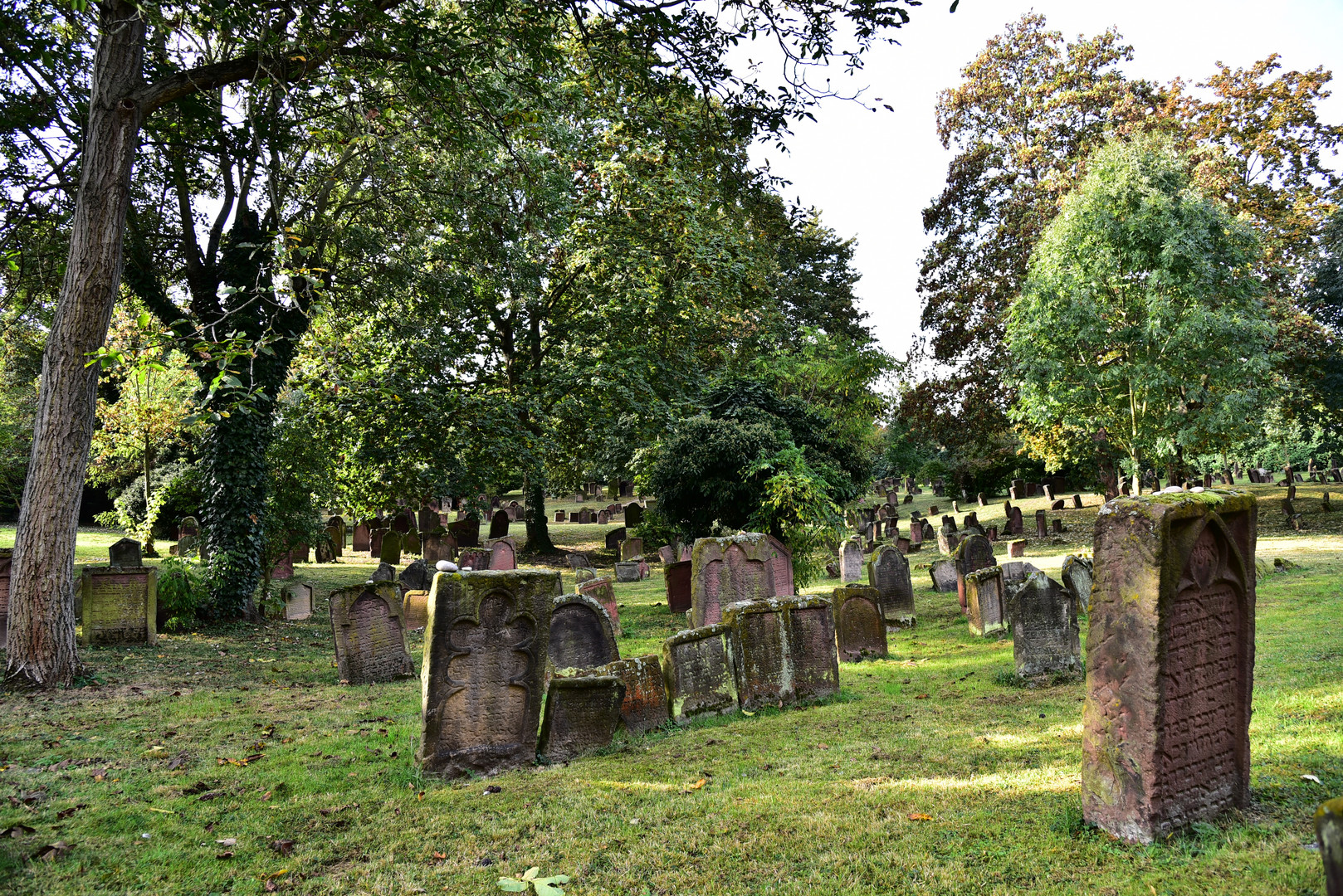 jüdischer Friedhof Worms "Heilige Sand"