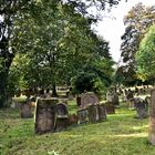 jüdischer Friedhof Worms "Heilige Sand"