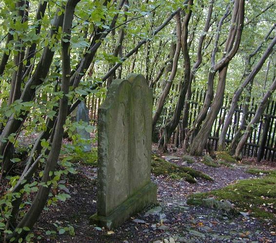 Jüdischer Waldfriedhof