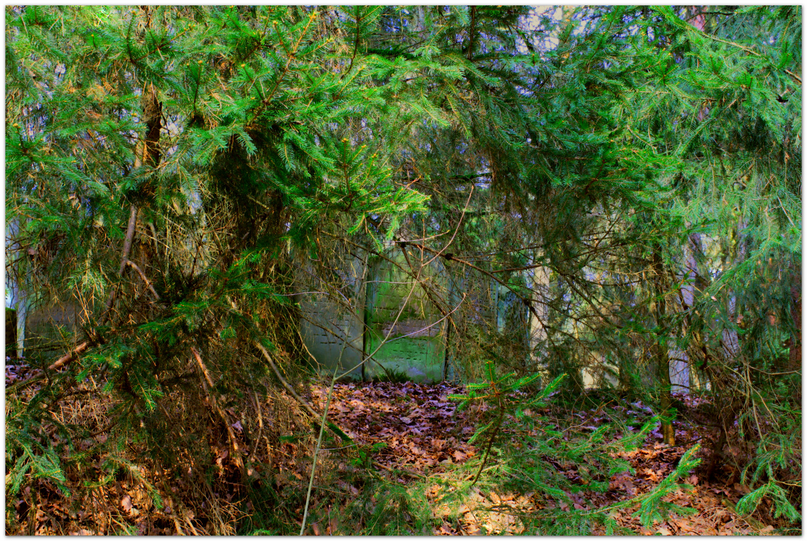 Jüdischer Waldfriedhof1