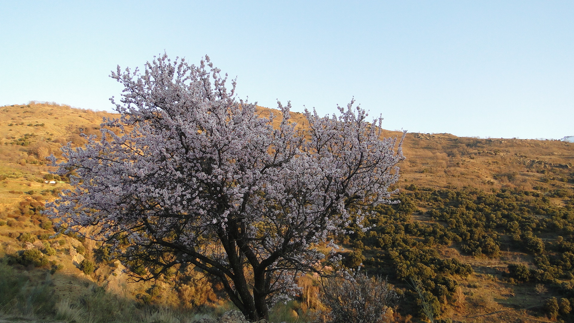 juego de luz