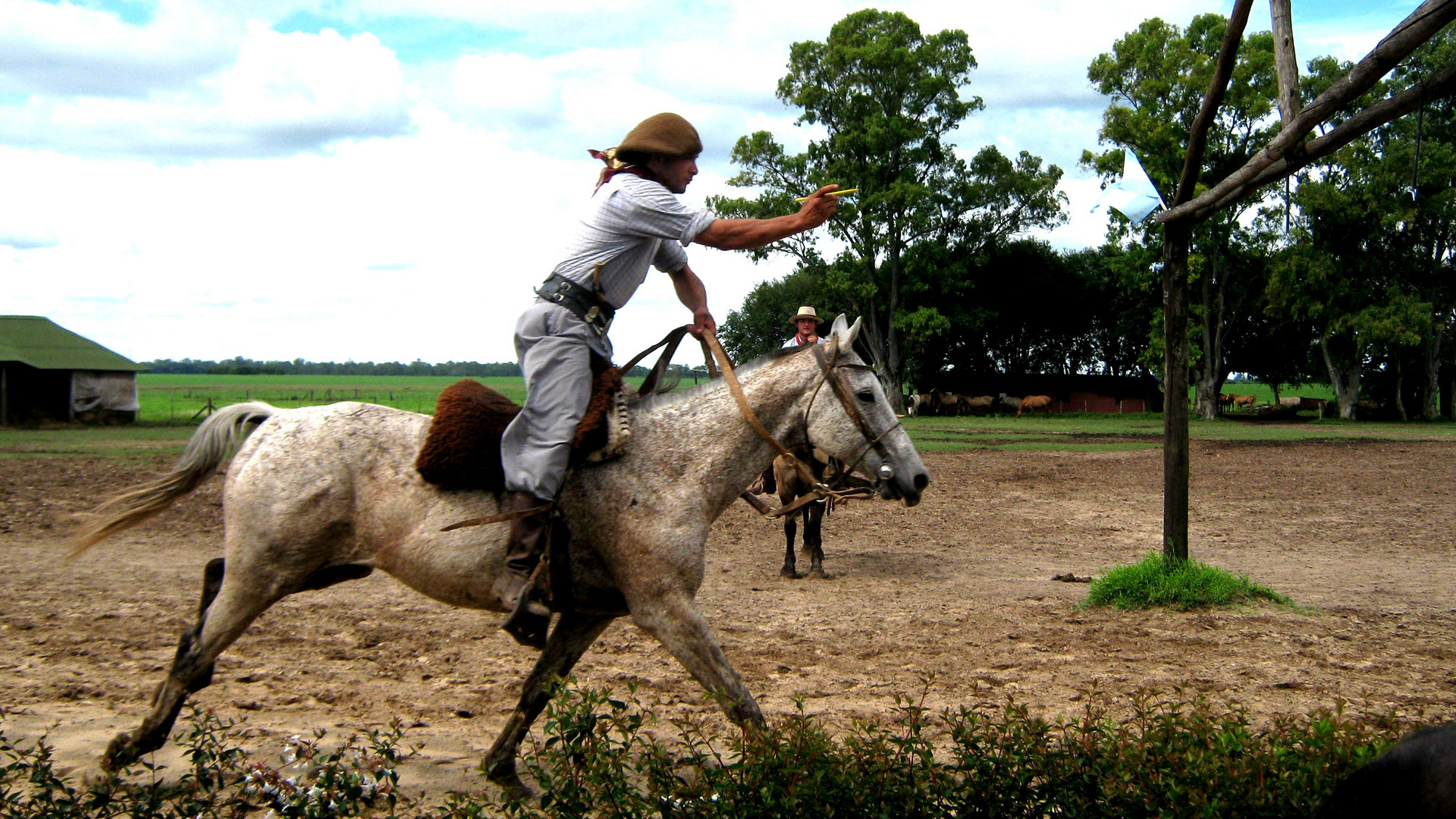 juegos campestres